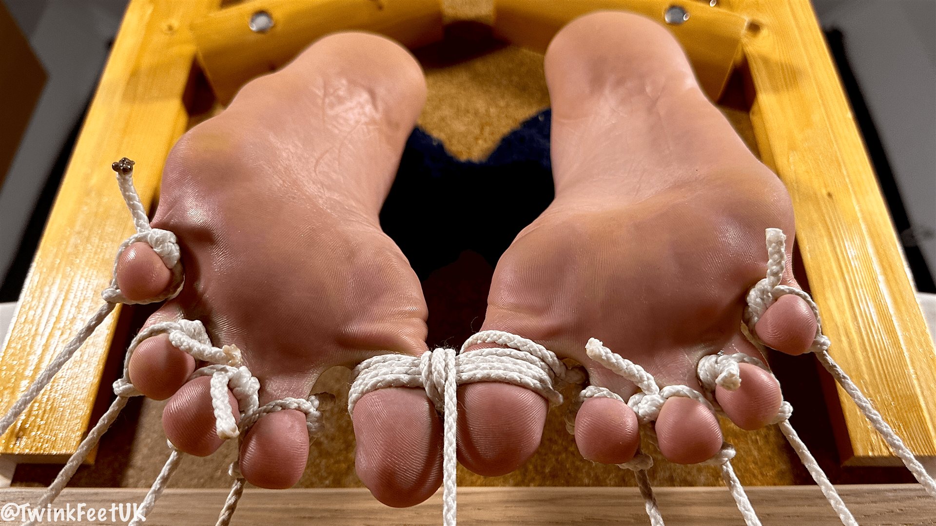 Tight toe bondage for puppy paws