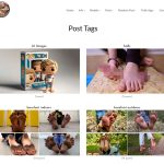 Post Tags page added